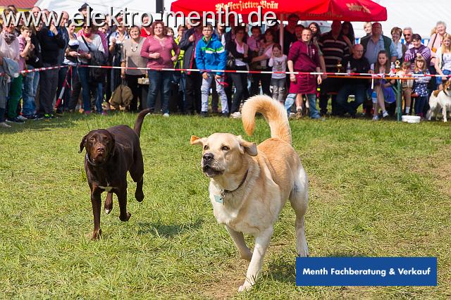 D - Foto Laudi Samstag -8123.JPG